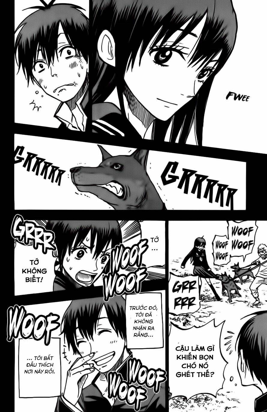 yankee-kun to megane-chan - nhóc quậy và nhỏ 4 mắt chapter 174 13