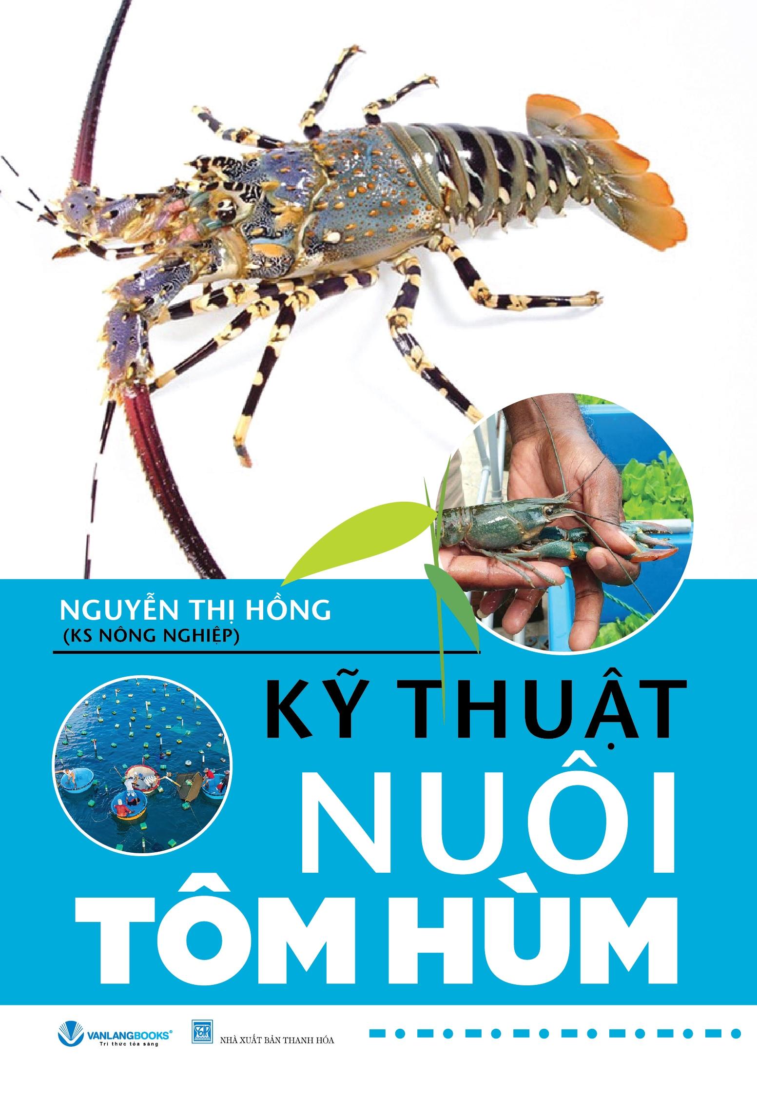 Kỹ Thuật Nuôi Tôm Hùm
