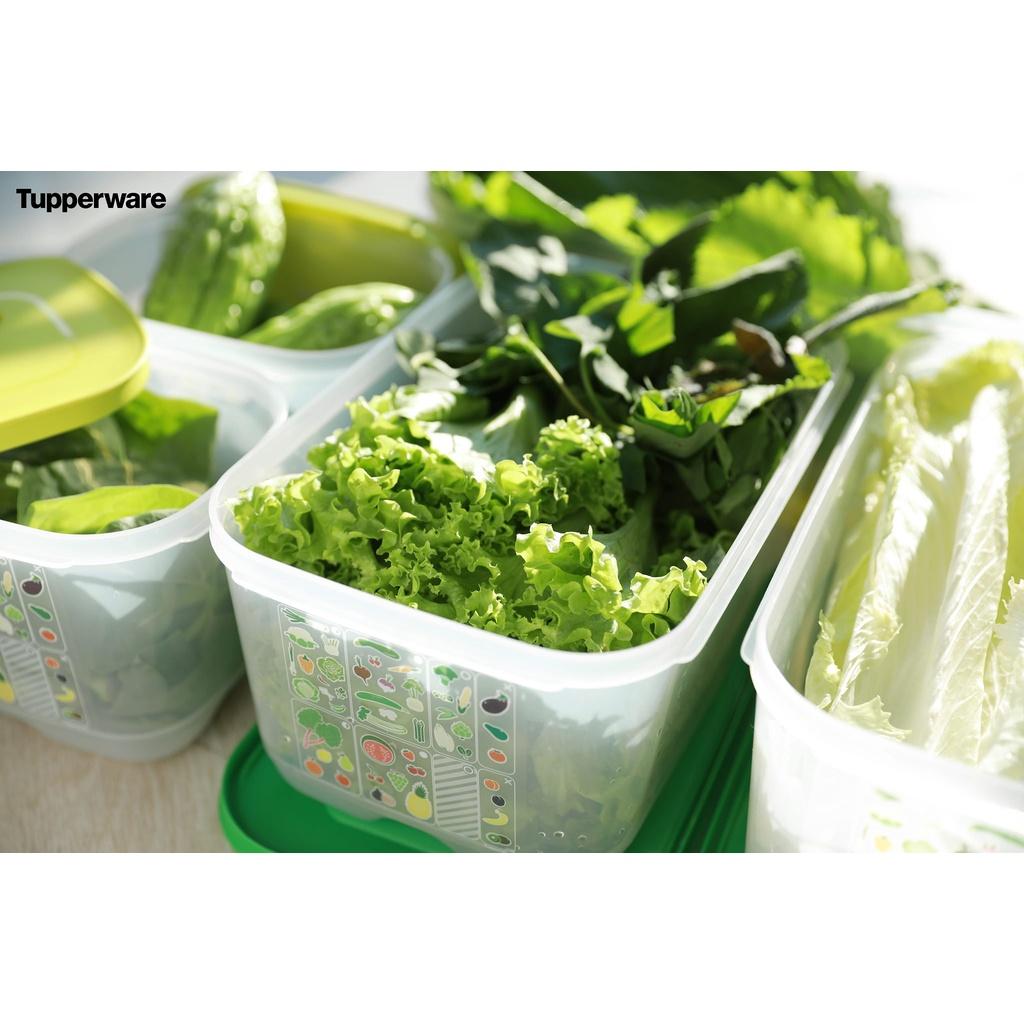 Bộ Hộp Trữ Mát Có Nút Hô Hấp Ventsmart 7 Tupperware
