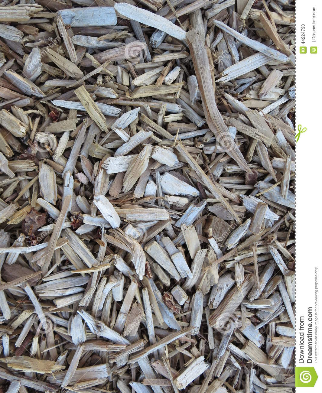 *** Wood chip, chip mulch - tổng kho mảnh gỗ mùn rải sân vườn