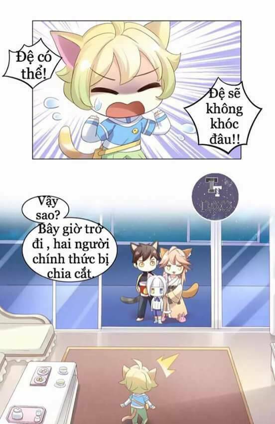 dưới móng vuốt mèo chapter 9 22