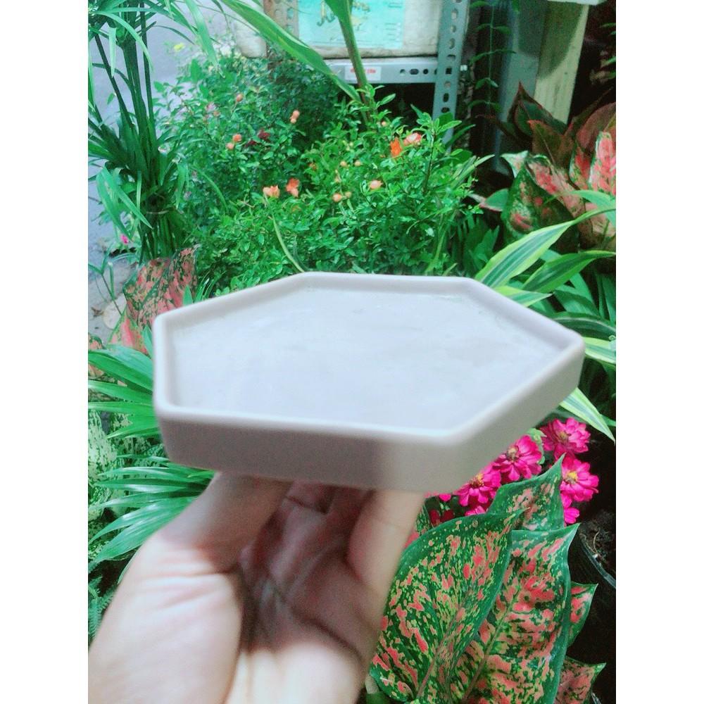 Đĩa Lót Chậu