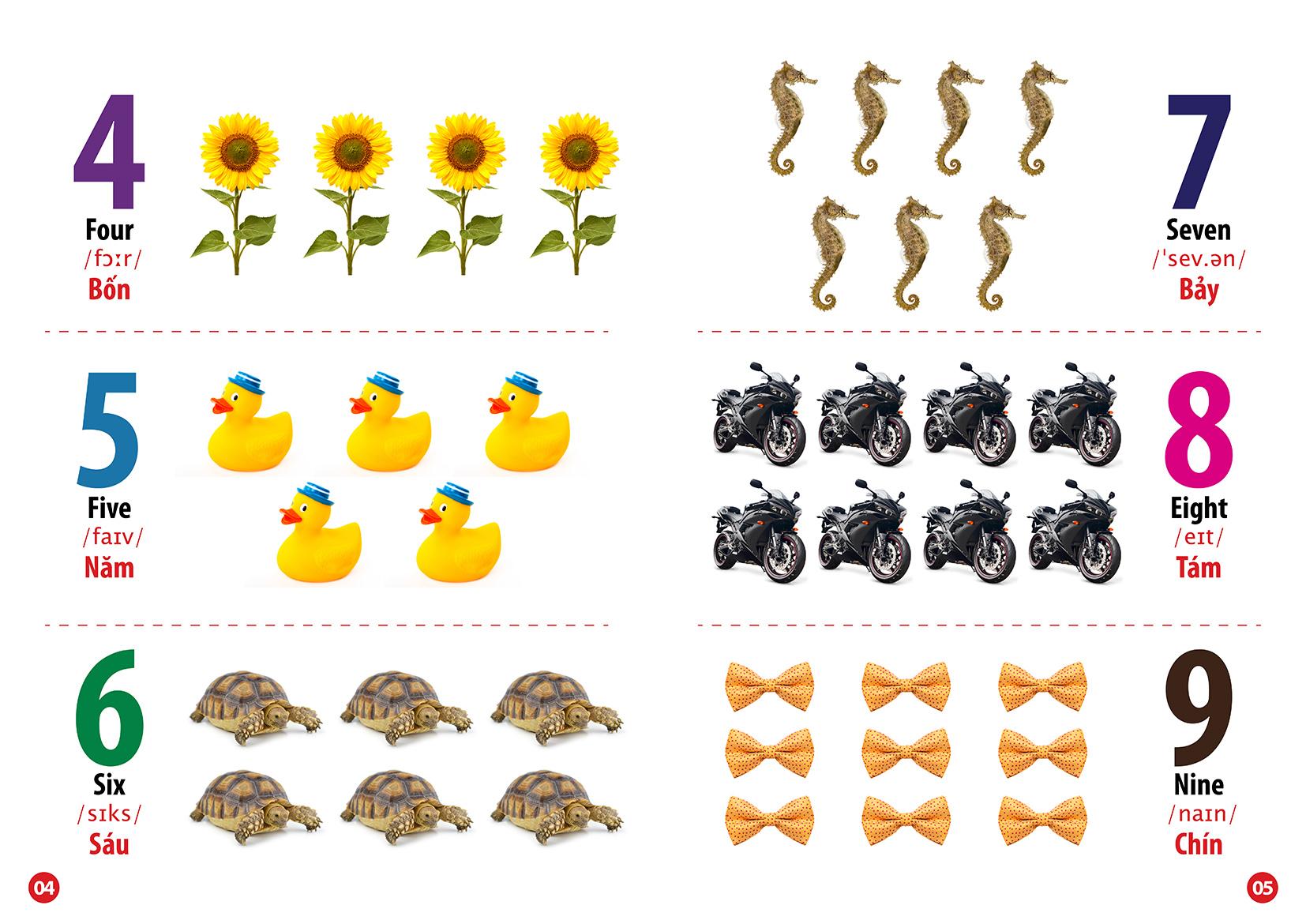 Bộ Sách Từ Điển Bằng Hình: Chữ Cái Và Số Đếm + Khám Phá Ngôi Nhà Của Bé + Hoa Quả Rau Củ + Phương Tiện Giao Thông