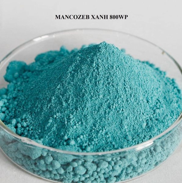 THUỐC TRỪ BỆNH MANCOZEB XANH, NGUYÊN LIỆU ẤN ĐỘ