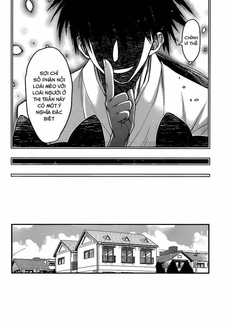 tamanyan chapter 5 5