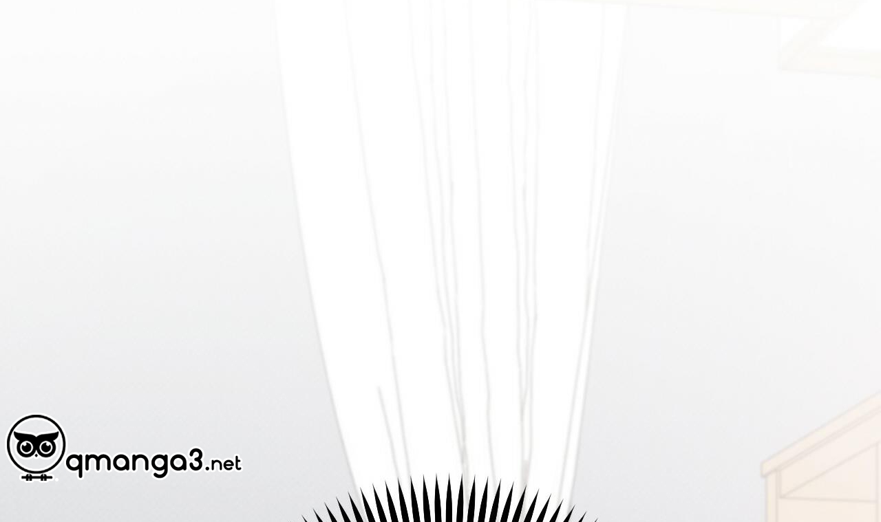 những chú thỏ của hapypy chapter 51 284