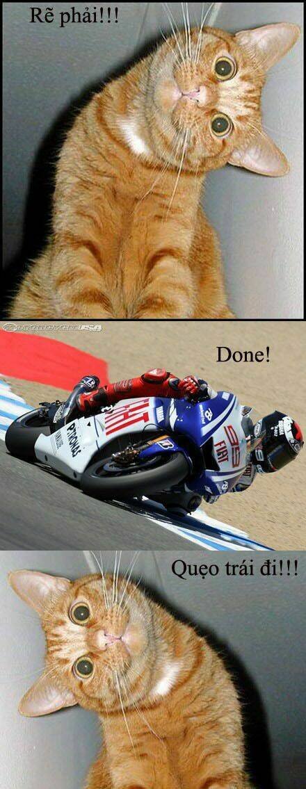 rage comic-troll chapter 67 18