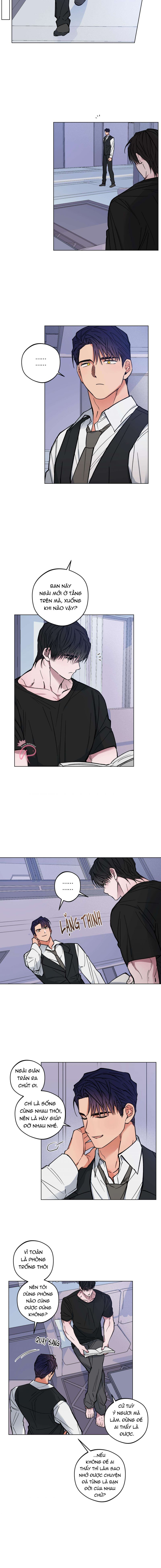 bình minh trên sông mây chapter 4 9