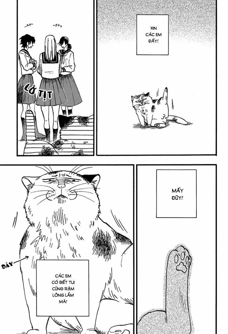 tui là busamen! chapter 1 17