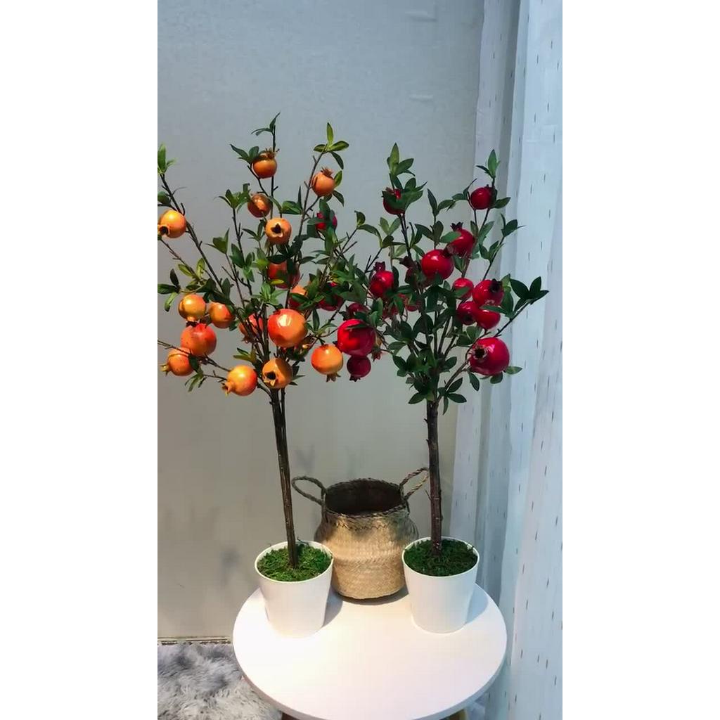 Cây lựu giả - 90cm kèm chậu