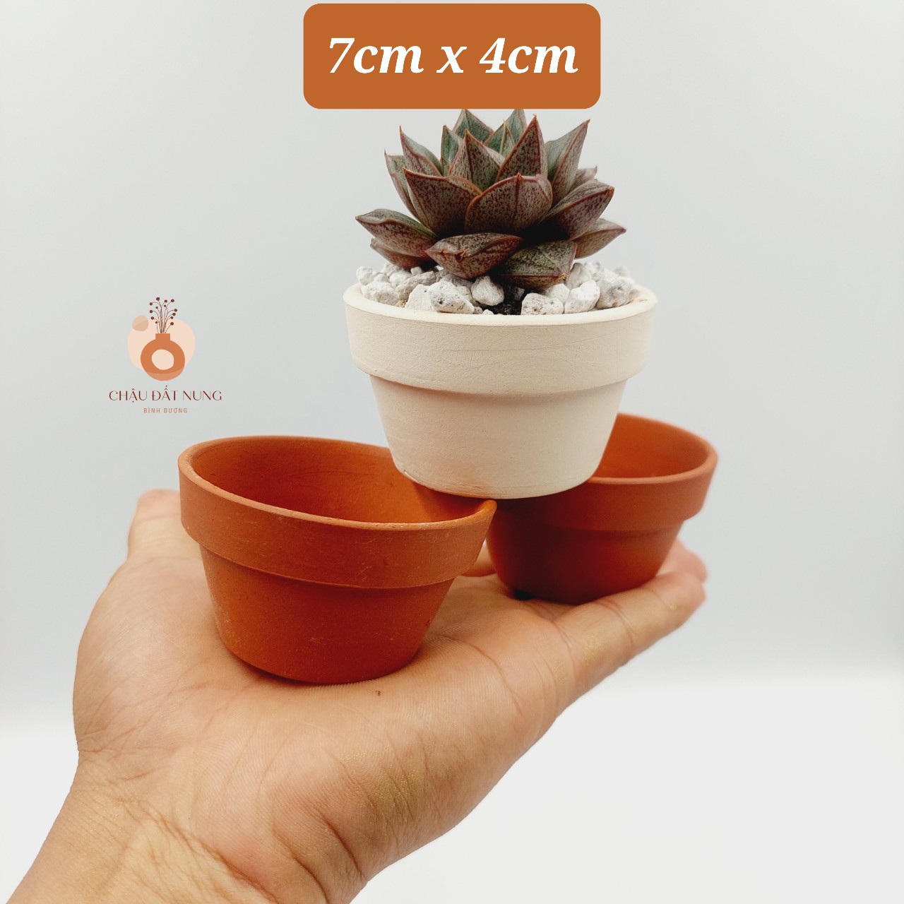 Chậu đất nung, chậu sen đá, xương rồng - Ly gờ 74, miệng chậu 7cm, chiều cao 4cm