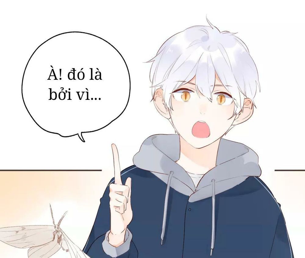 sos! tôi đã yêu một con sâu bướm (phần 2) chapter 52 18