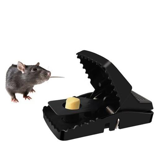Bẫy sập chuột tiện lợi