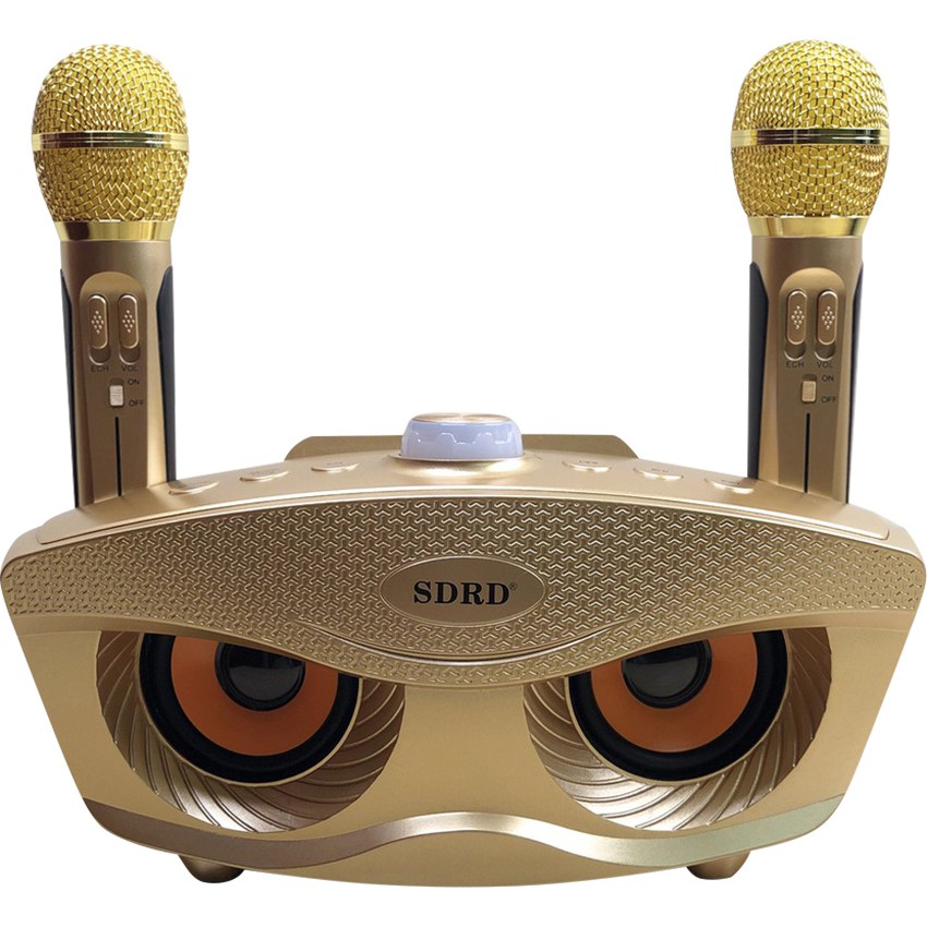 Loa karaoke Bluetooth SDRD 306, Loa bluetooth không dây - Tặng kèm 2 micro hát karaoke, âm thanh tuyệt đỉnh, chất lượng