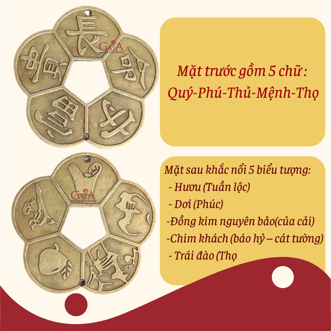 Tiền xu hoa mai 5 cánh liền