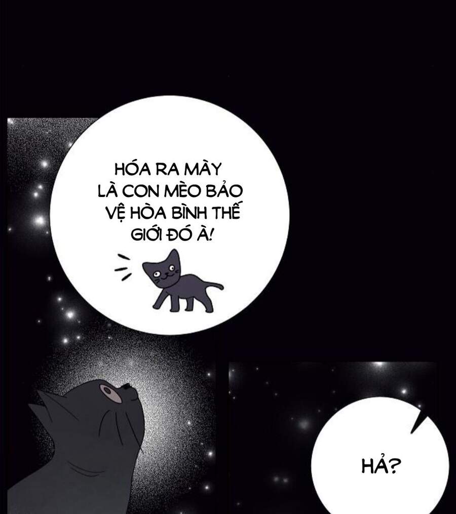 tôi đã cướp mất đêm đầu tiên của nam chính chapter 76.5 16