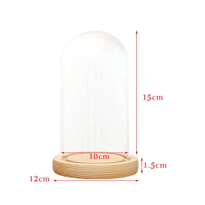 Đế Gỗ Trưng Bày Đèn Led Trang Trí Nhà Cửa
