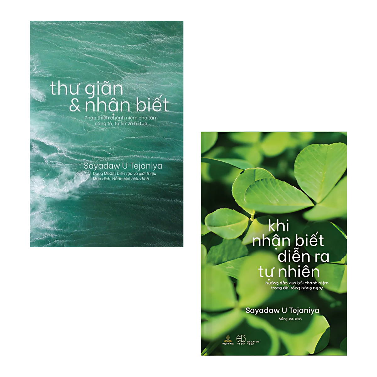 Combo Khi Nhận Biết Diễn Ra Tự Nhiên - Hướng Dẫn Vun Bồi Chánh Niệm Trong Đời Sống Hàng Ngày + Thư Giãn Và Nhận Biết - Pháp Thiền Chánh Niệm Cho Tâm Sáng Tỏ, Tự Tin Và Trí Tuệ  (Sayadaw U Tejaniya) - ảnh 2