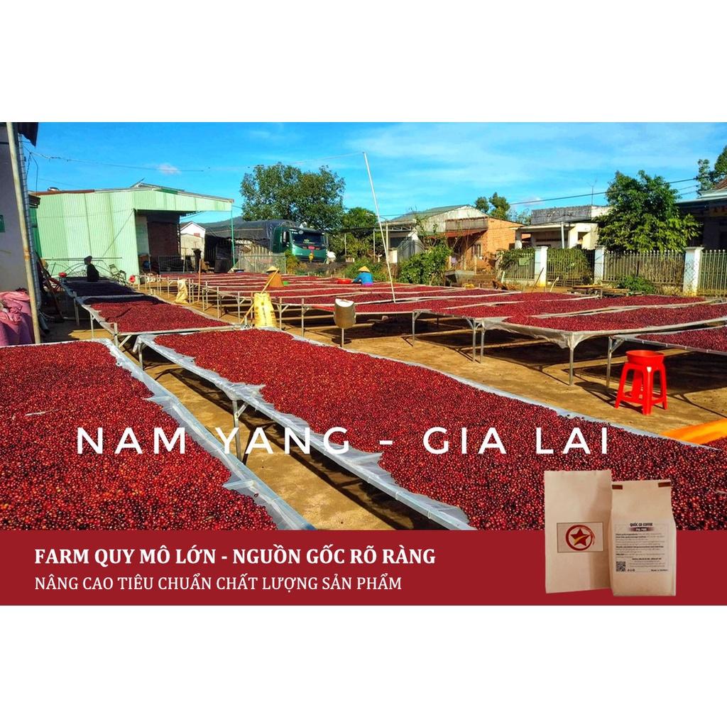 Cà phê rang xay gói 500gr, cà phê nguyên chất 100% - 3 loại tuỳ chọn