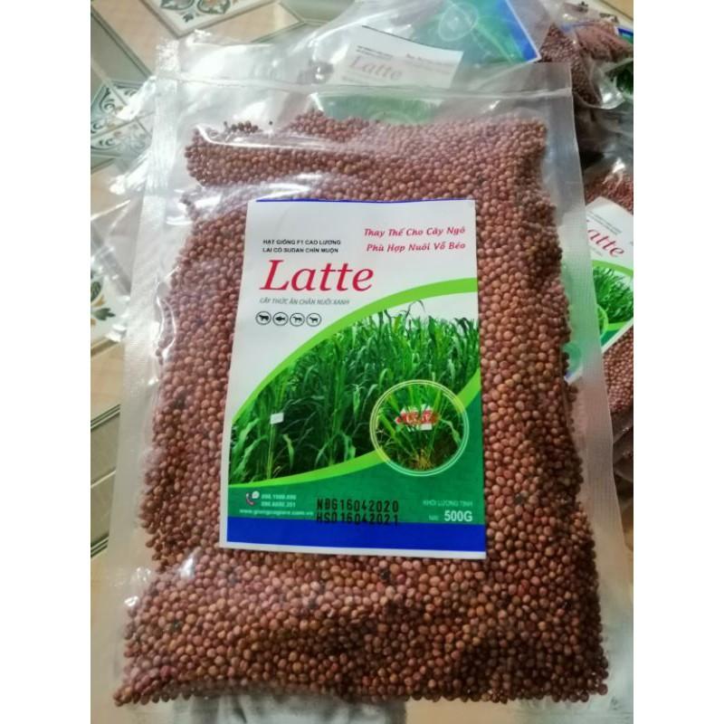 (500G), Giống Cỏ Sudan Lai, Giống Cỏ Ngô, Cỏ Chăn Nuôi Năng Suất Cao, Cỏ ủ chua giữ trự thức ăn cho vật nuôi