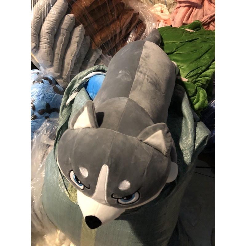 Chó Husky Nhồi Bông Mặt Ngáo Siêu Đẹp, Cute - Qùa tặng Gấu Bông Dễ Thương GB11 - 98manhquanks