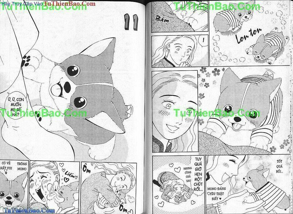 chó con mo mo chapter 1 40
