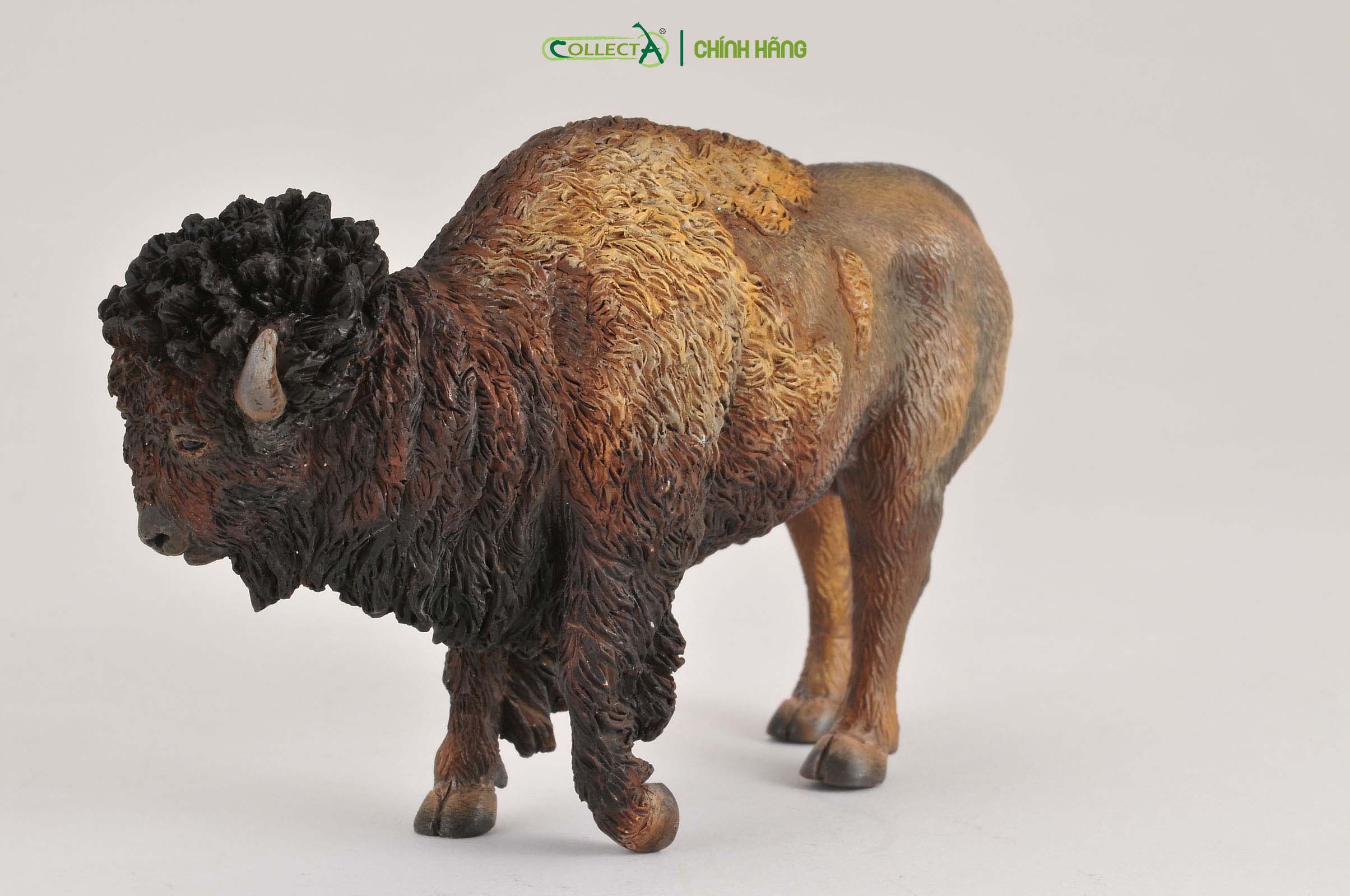 Mô hình thu nhỏ: Bò Rừng Bison - American Bison, hiệu: CollectA, mã HS 9651410[88336] -  Chất liệu an toàn cho trẻ - Hàng chính hãng