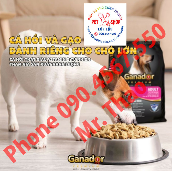 Combo 5 thức ăn cho chó trưởng thành Ganador vị cá hồi &amp; gạo Salmon &amp; Rice 400 gram