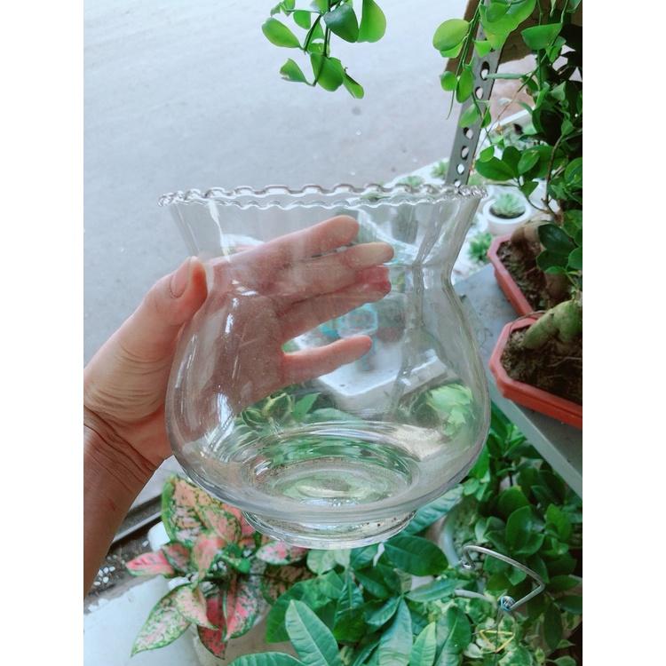 Chậu Thủy Tinh