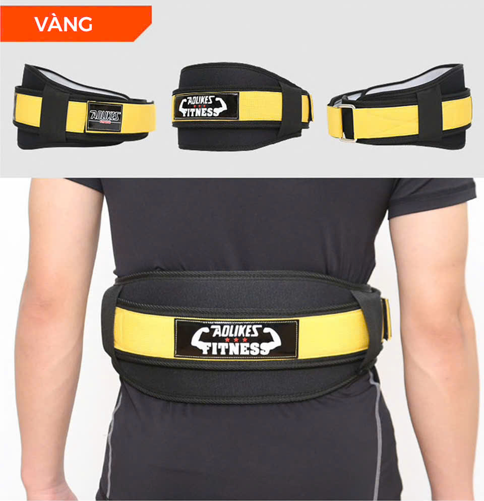Đai lưng cứng tập gym gánh tạ AOLIKES A-7983 chuyên nghiệp sport waist support