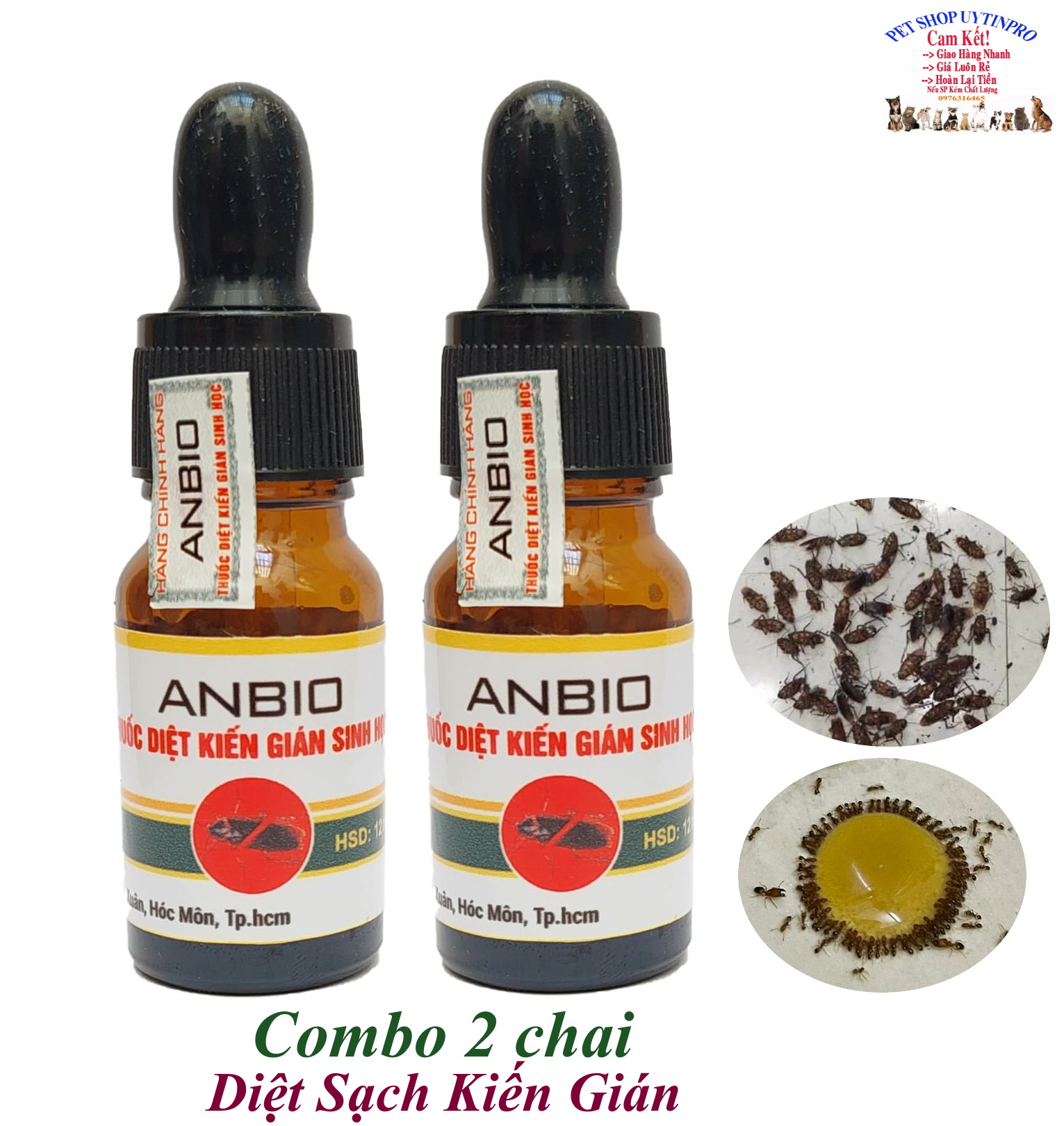 Combo 2 chai thuốc Diệt kiến gián Sinh học ANBIO Chai 10ml Diệt sạch kiến gián An toàn Hiệu quả Xuất xứ Việt Nam