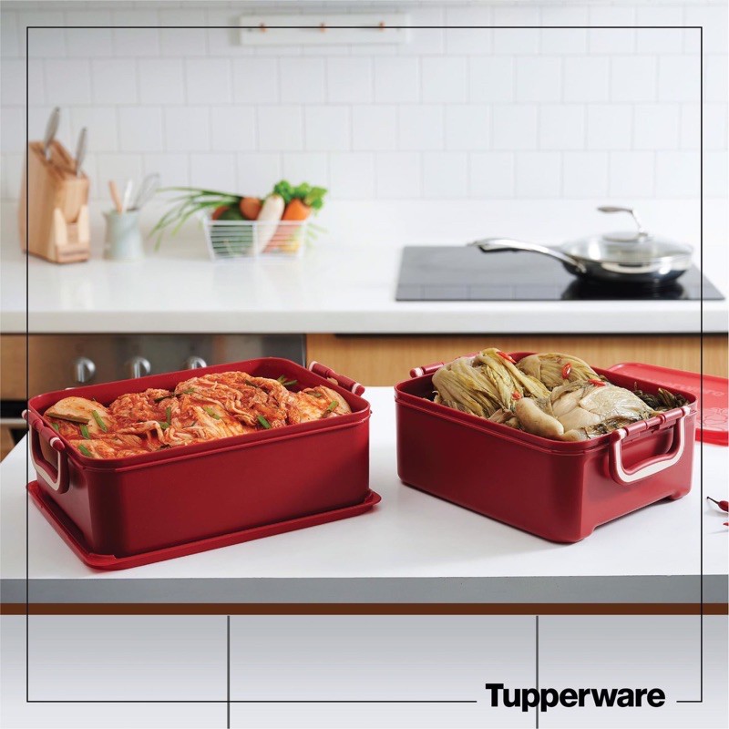 Bộ Hộp BQTP Ngâm 02 Hộp 5.5L và 6.9L Tupperware,Trữ Thực Phẩm ,Trữ Mát, Trữ Khô, Kín Khí , Kín Mùi