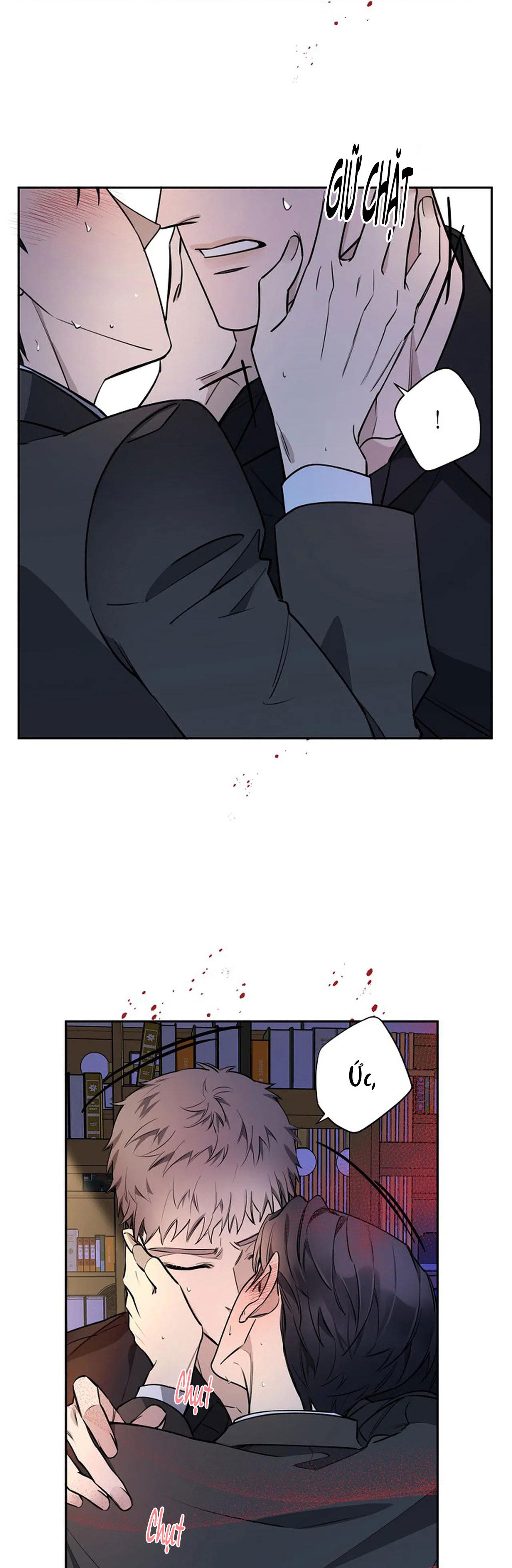 đêm dịu dàng chapter 37 21