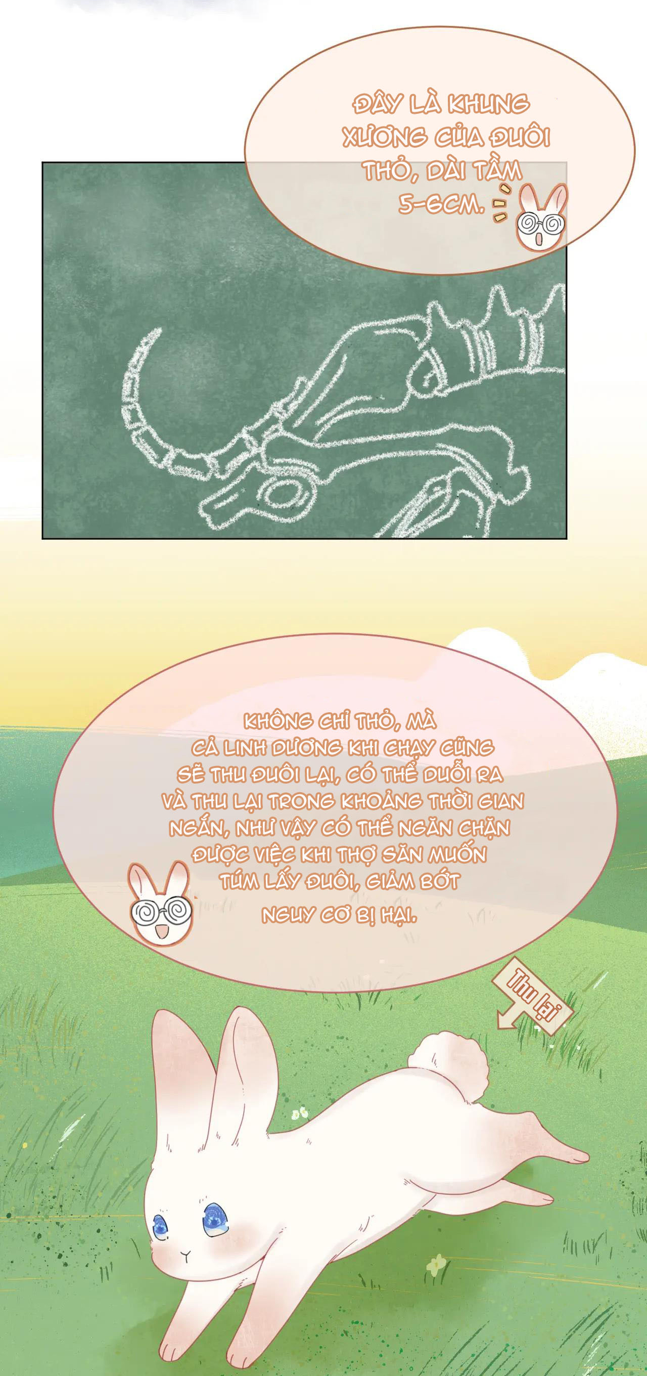 một miếng ăn sạch thỏ chapter 25 38