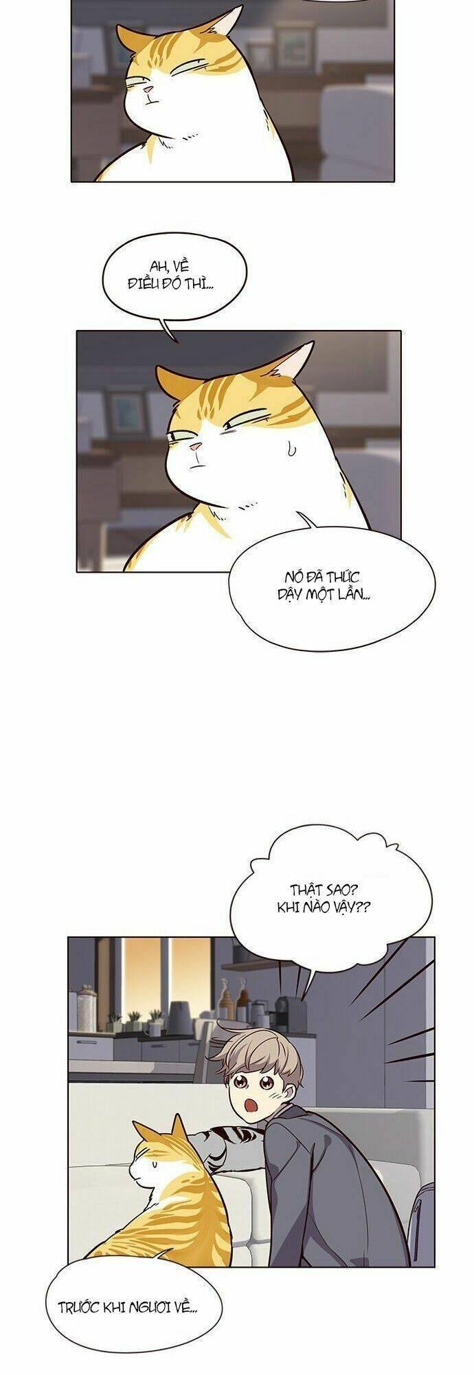 biến thân thành mèo chapter 7 53