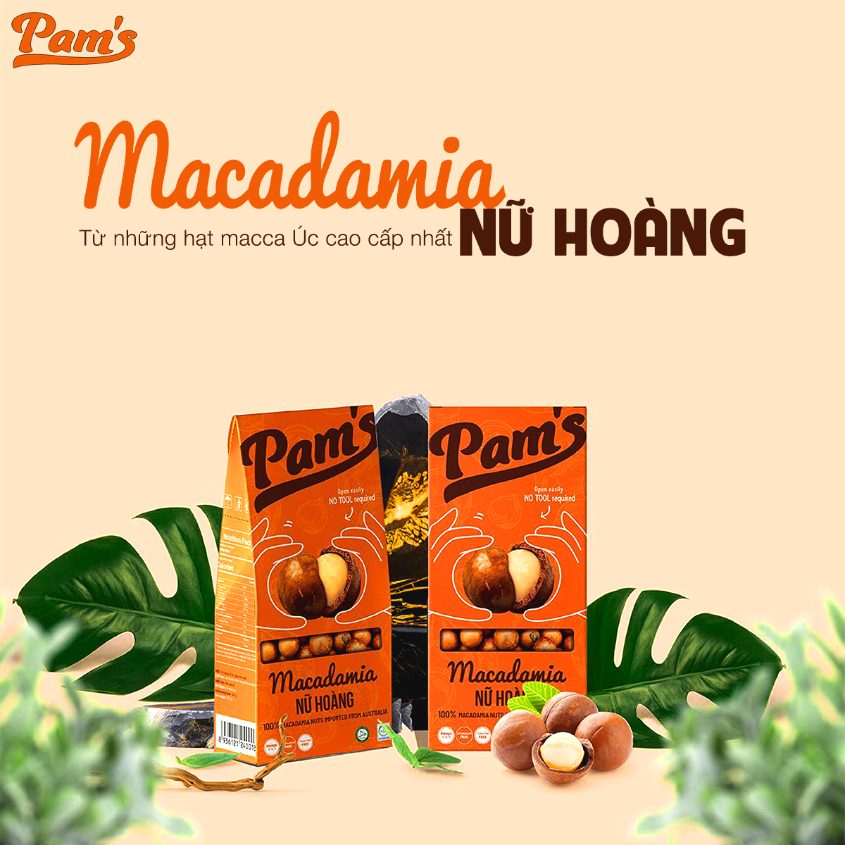 Hạt Macca Nữ Hoàng Size 30-32 Pams 250g/hộp - Mắc ca Úc Giòn Béo, Thơm Ngon, không cần dùng khui hạt