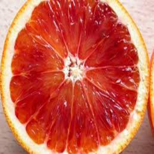 CÂY GIỐNG CAM CARA RUỘT ĐỎ KHÔNG HẠT