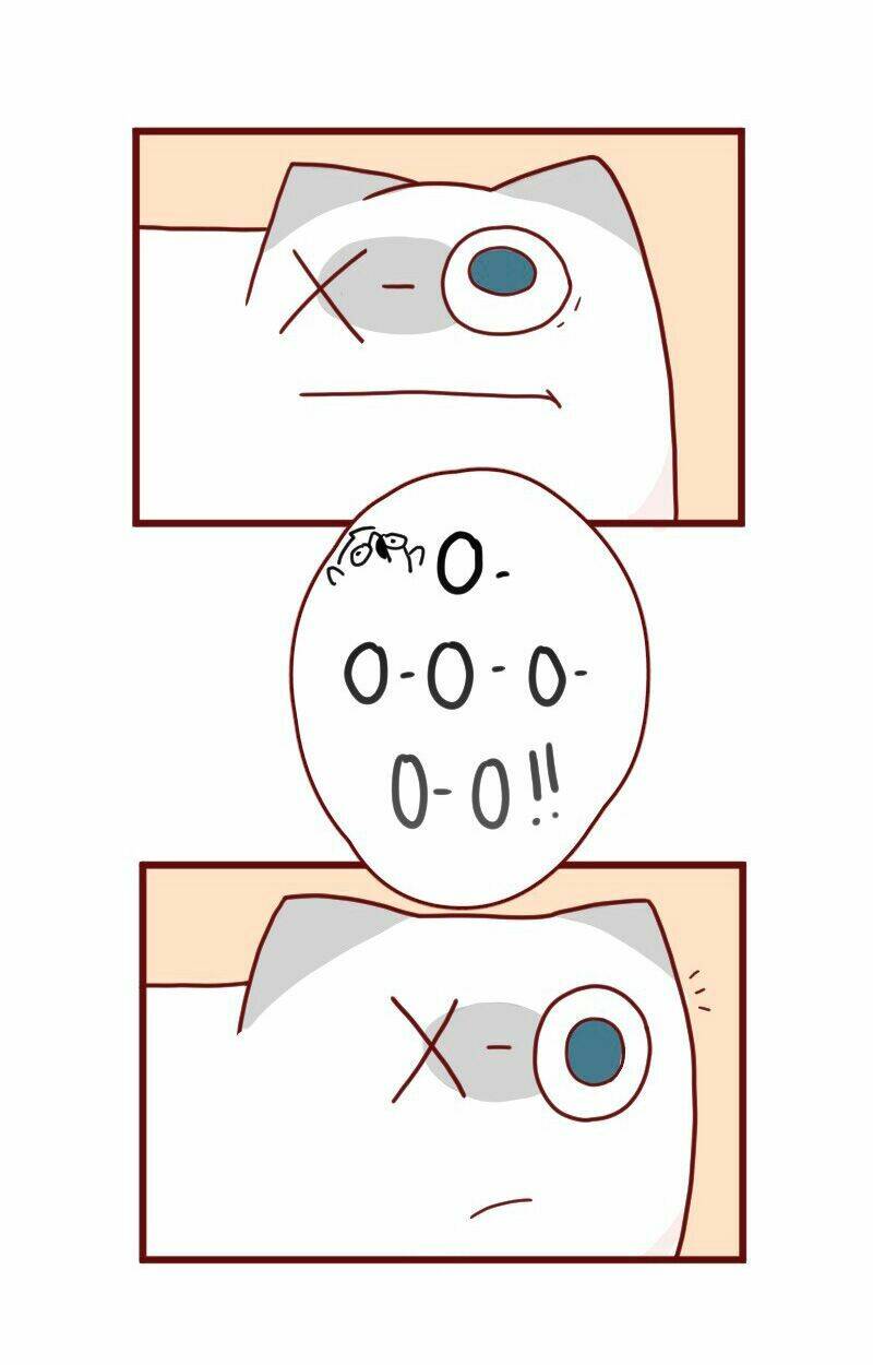 saphie: chú mèo một mắt chapter 9 5