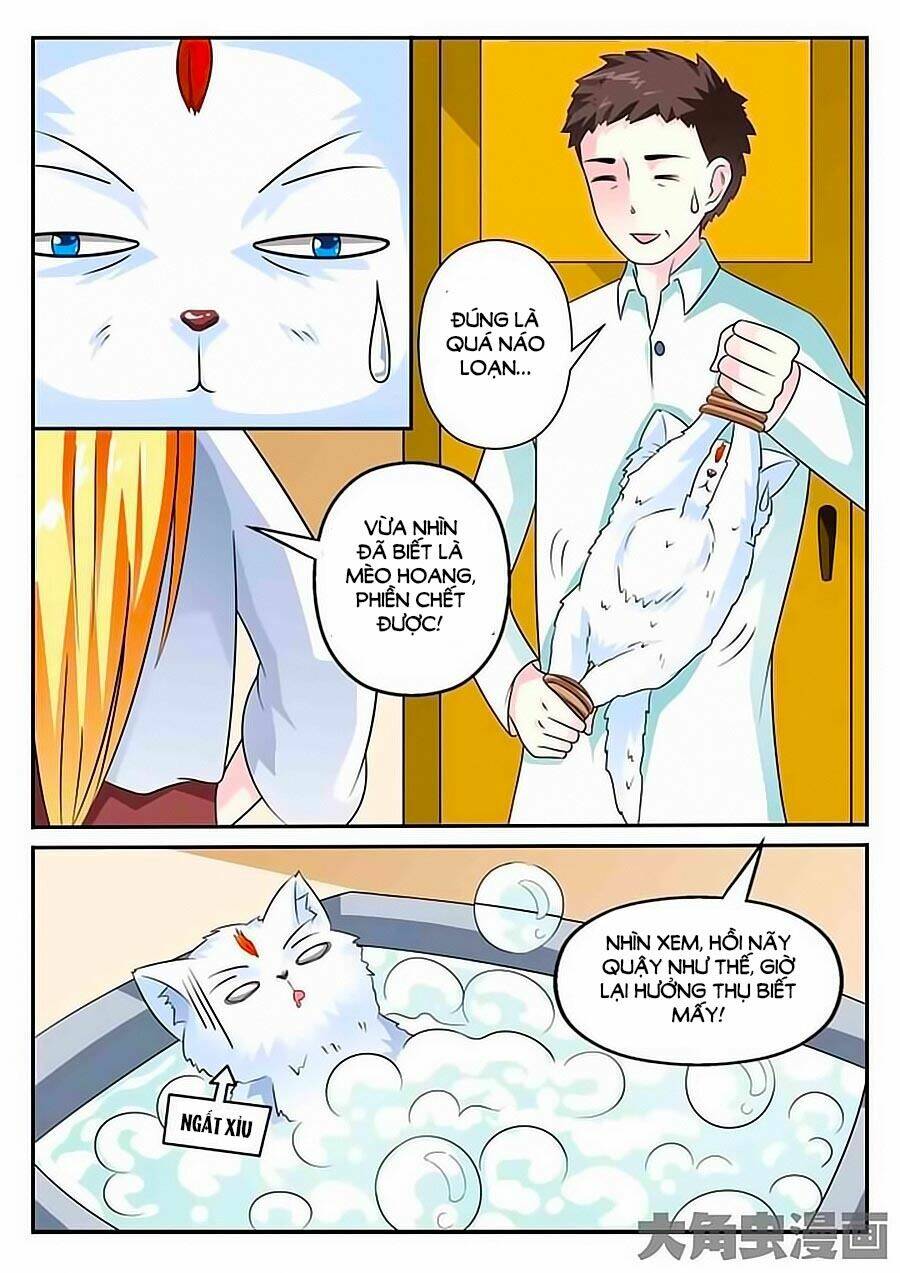 mau lấy con mèo đó ra chapter 3 12