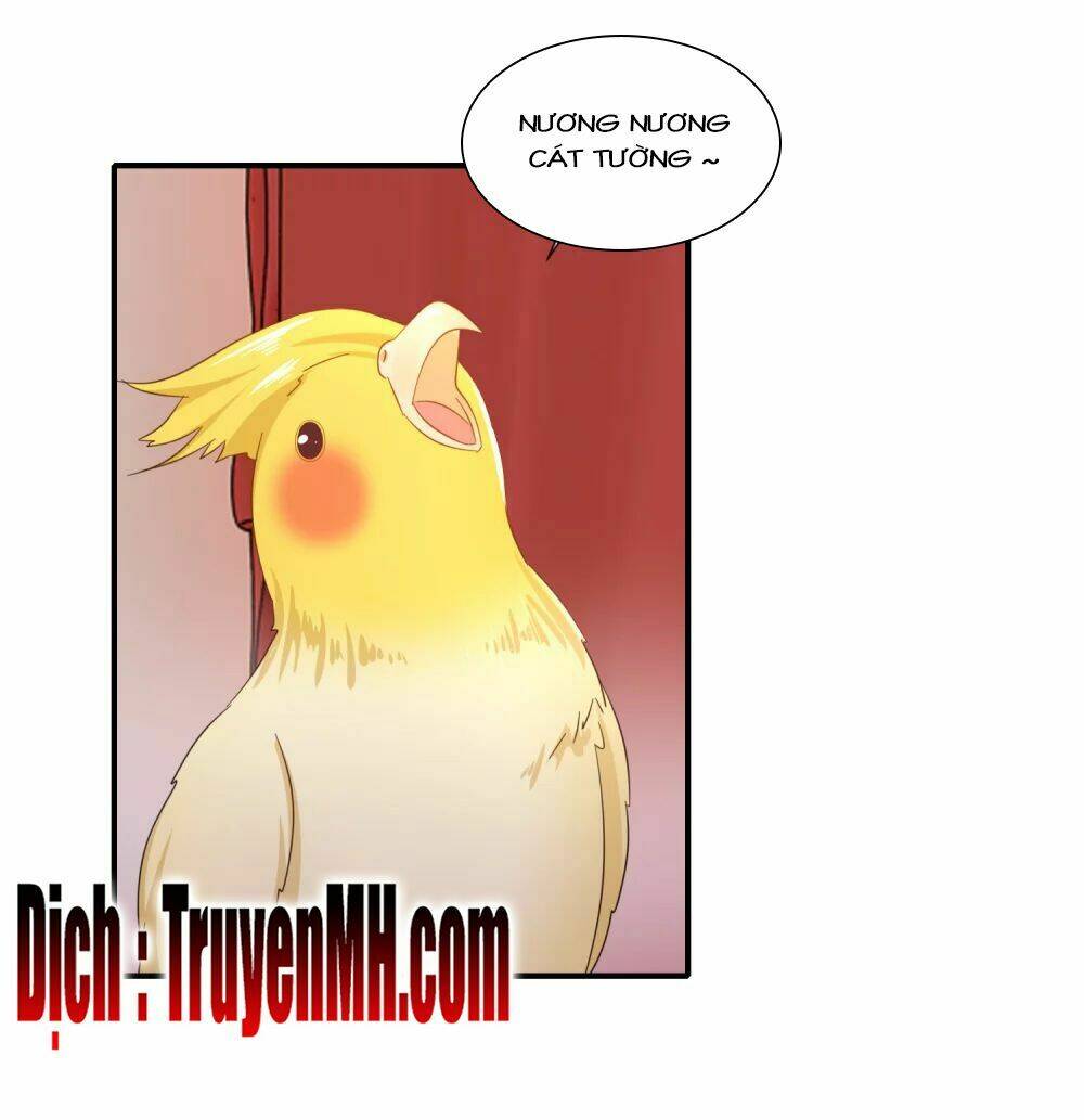 lãnh cung phế hậu muốn nghịch thiên chapter 141 21