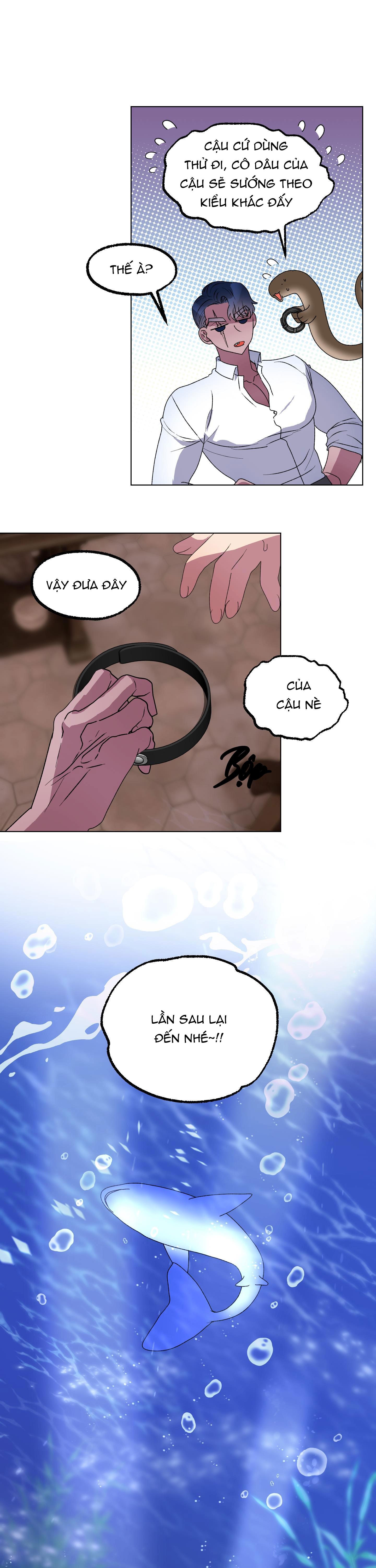 cá mập và cô dâu thỏ chapter 10 13