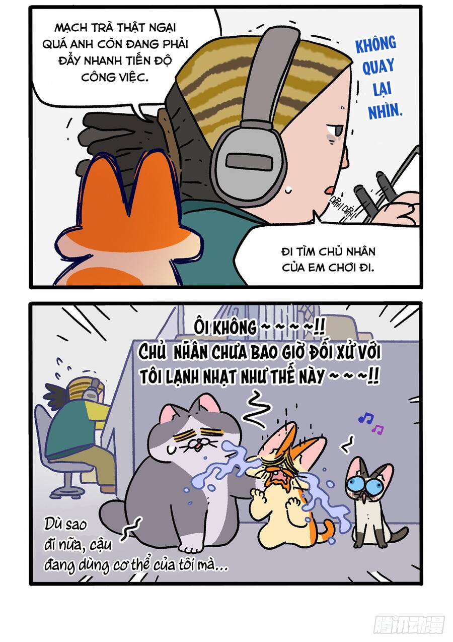 a mãn và mạch trà chapter 151.1 4