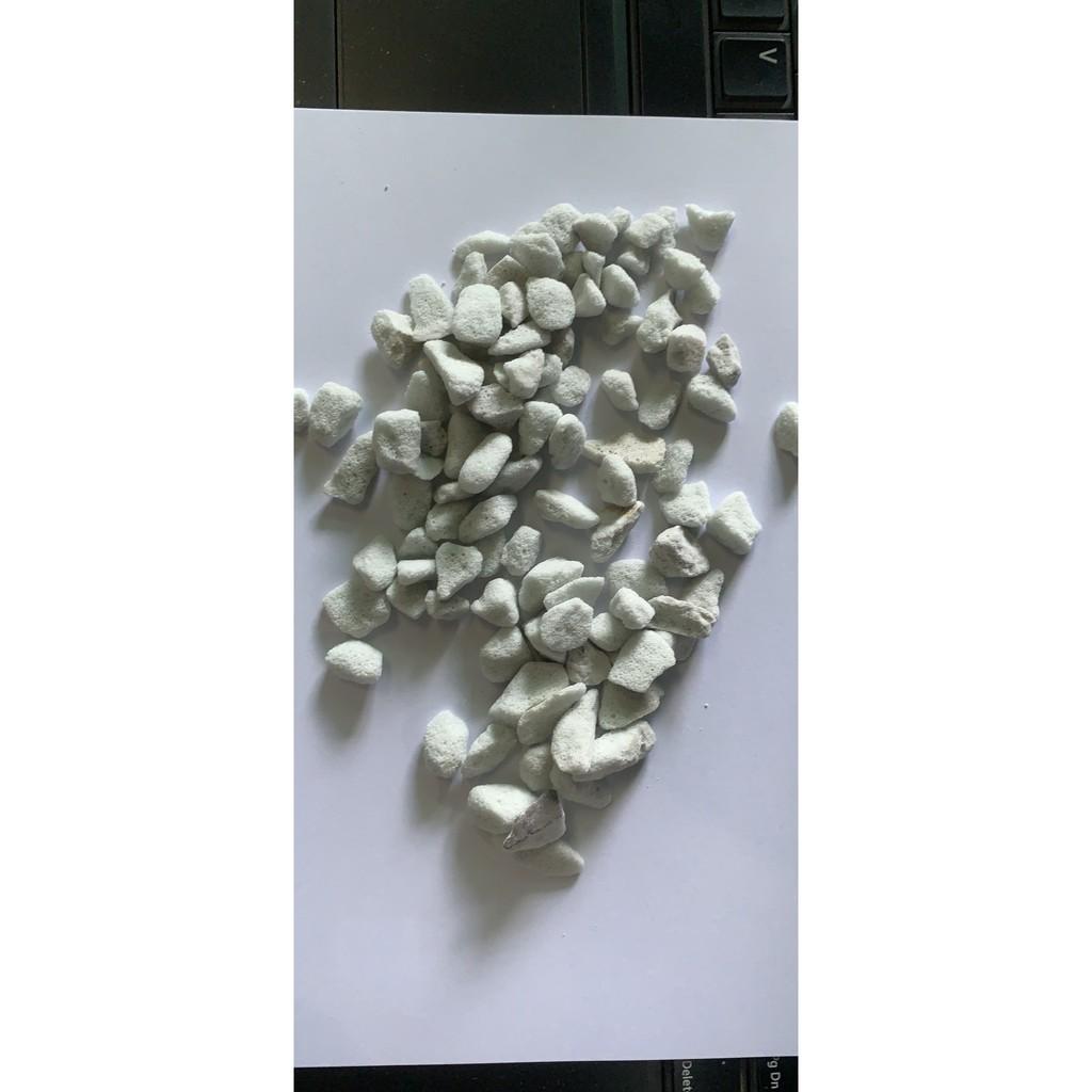 Đá trân châu Perlite kích thước 6-12mm túi 02 lít