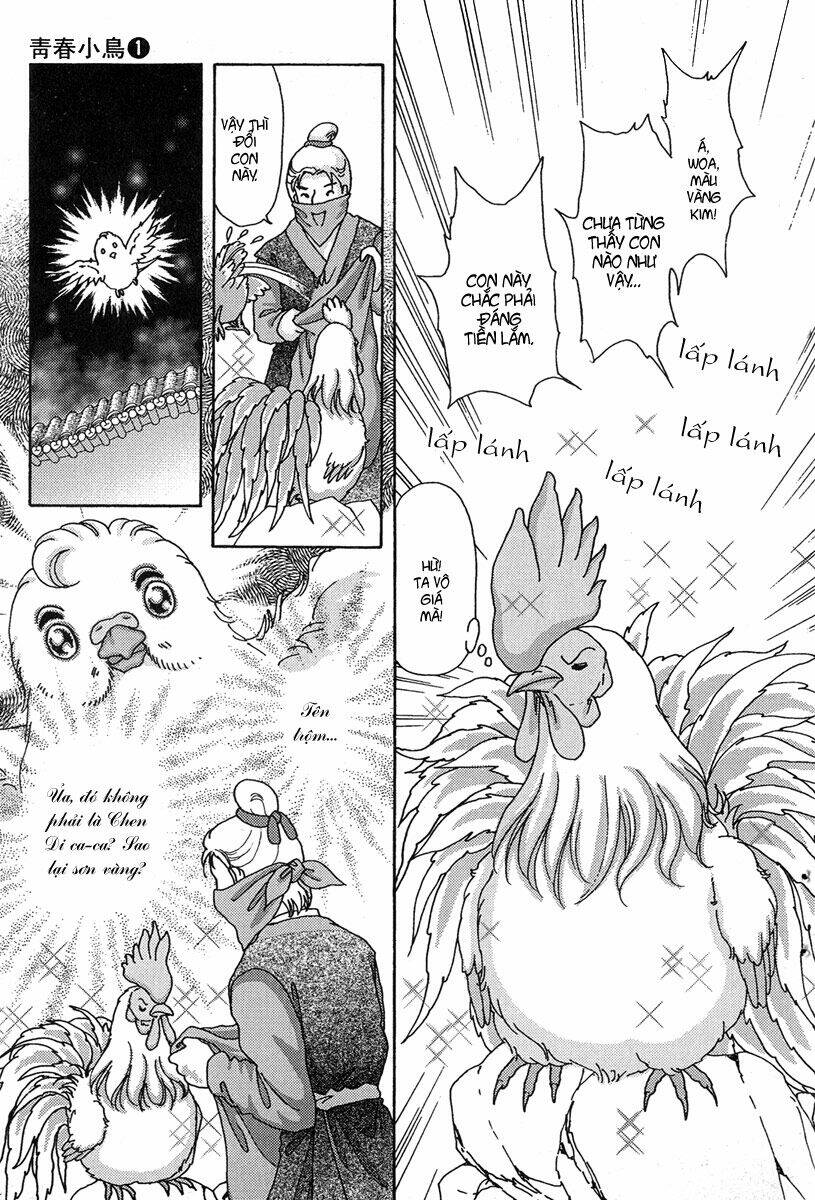 bird of youth chapter 4 5