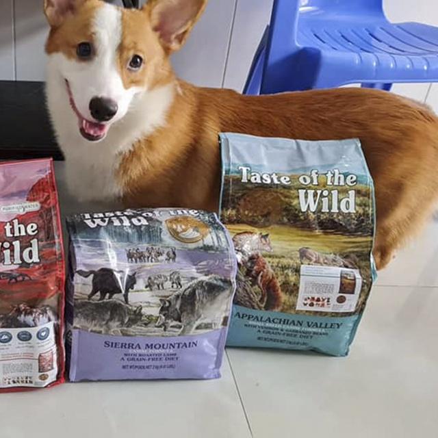 Thức Ăn Cho Chó Corgi Taste Of The Wild Bao 500g - Thức Ăn Cho Chó, Vị Thịt Nai &amp; Đậu Garbanzo