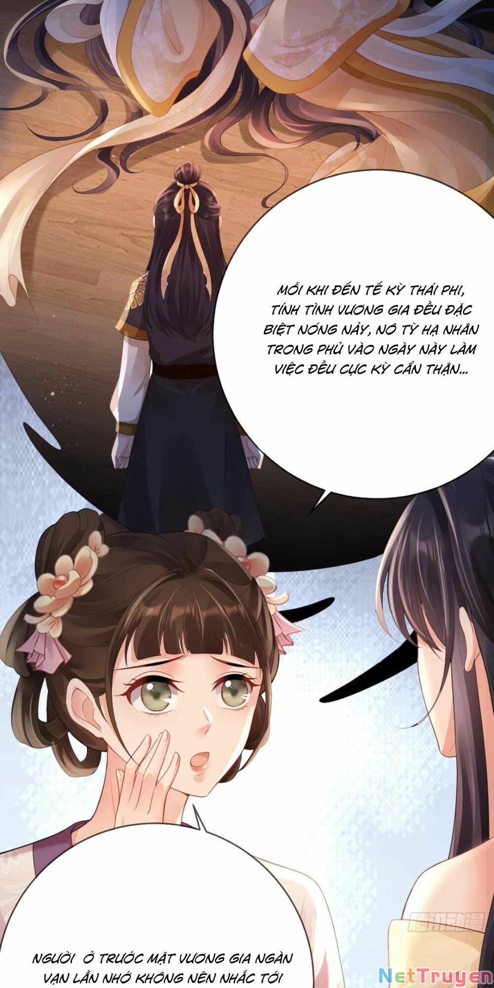 sự trả thù của vương phi chapter 11 11