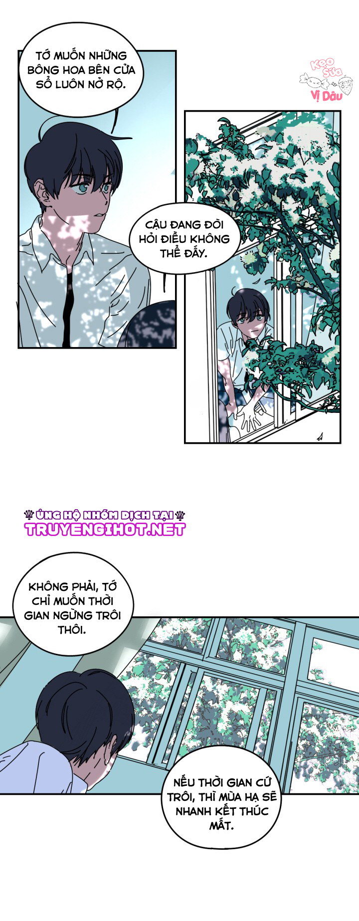 xin chào, mùa hạ chapter 1.1 4