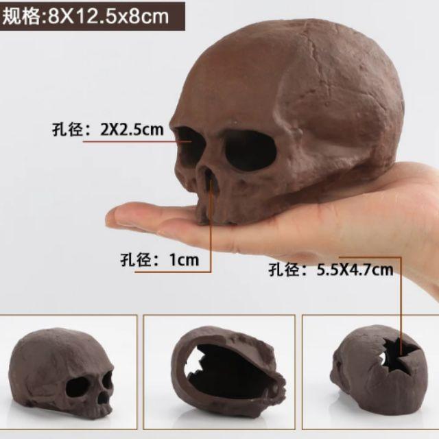 XƯƠNG SỌ TRANG TRÍ BỂ THỦY SINH- BỂ CÁ- BỂ TÉP CẢNH