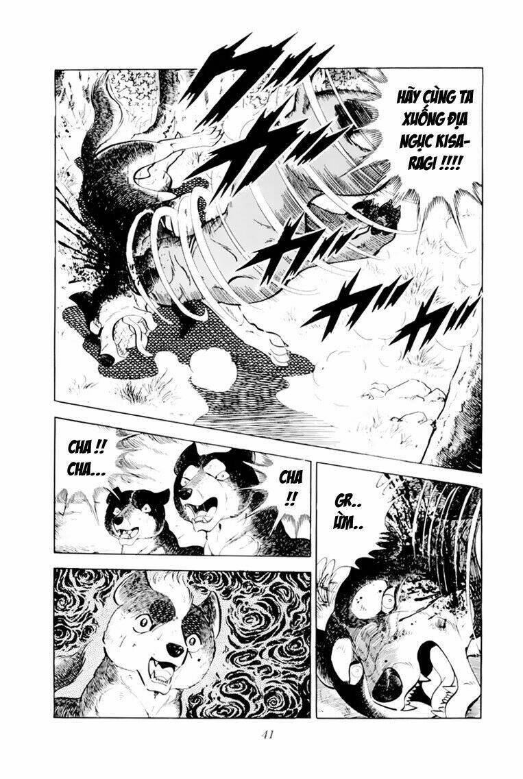 chú chó có nghĩa - ginga nagareboshi gin chapter 31 41