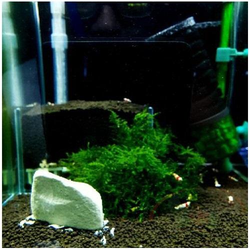 Phân nền chuyên tép cảnh Benibachi Fulic Normal Soil - Giúp ổn định PH - phụ kiện tép cảnh-thủy sinh-shopleo